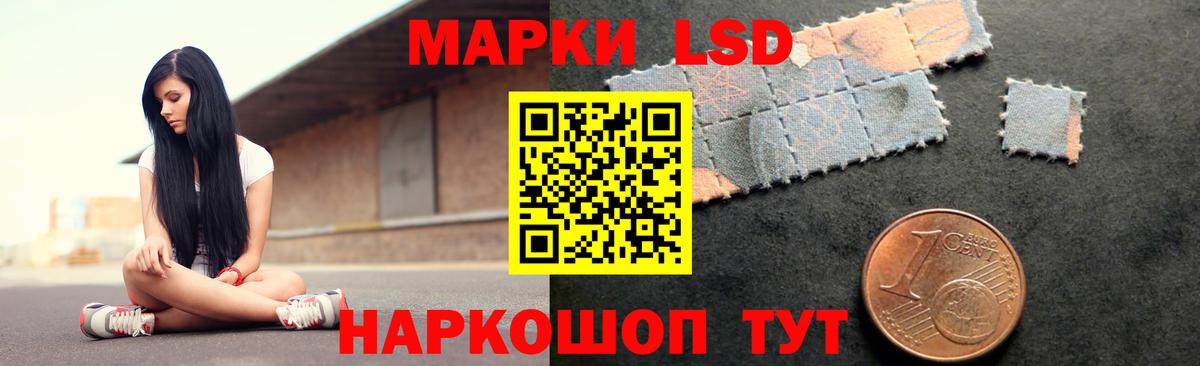 LSD-25 экстази  ЛСД экстази ecstasy  Вход с VPN  Новозыбков 