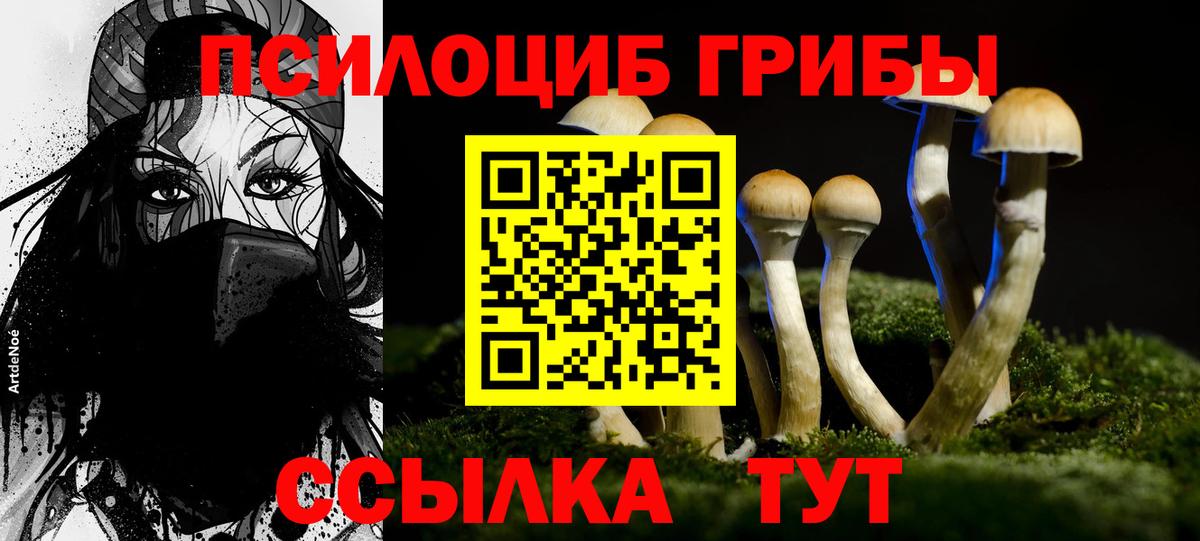 Галлюциногенные грибы ЛСД  Псилоцибиновые грибы GOLDEN TEACHER  Новозыбков  Вход с VPN 