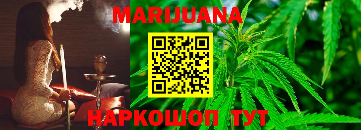 Новозыбков  Шишки марихуана семена  МАРИХУАНА семена  Канабис OG Kush  Вход с VPN  Каннабис AK-47 